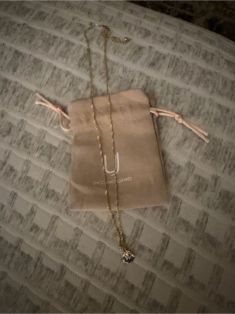 Uncommon James Gold Twisted Chain Necklace